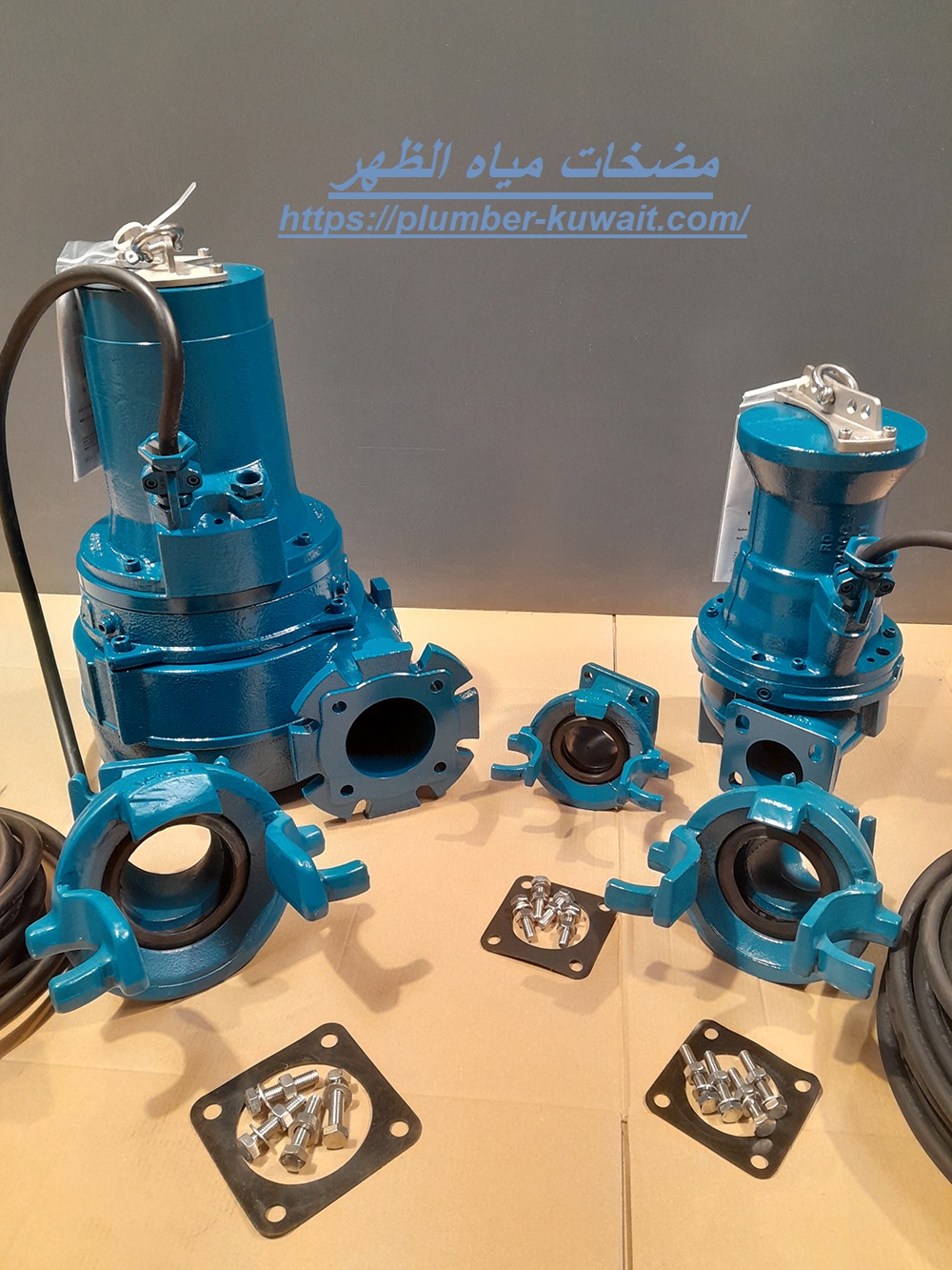 مضخات مياه الظهر